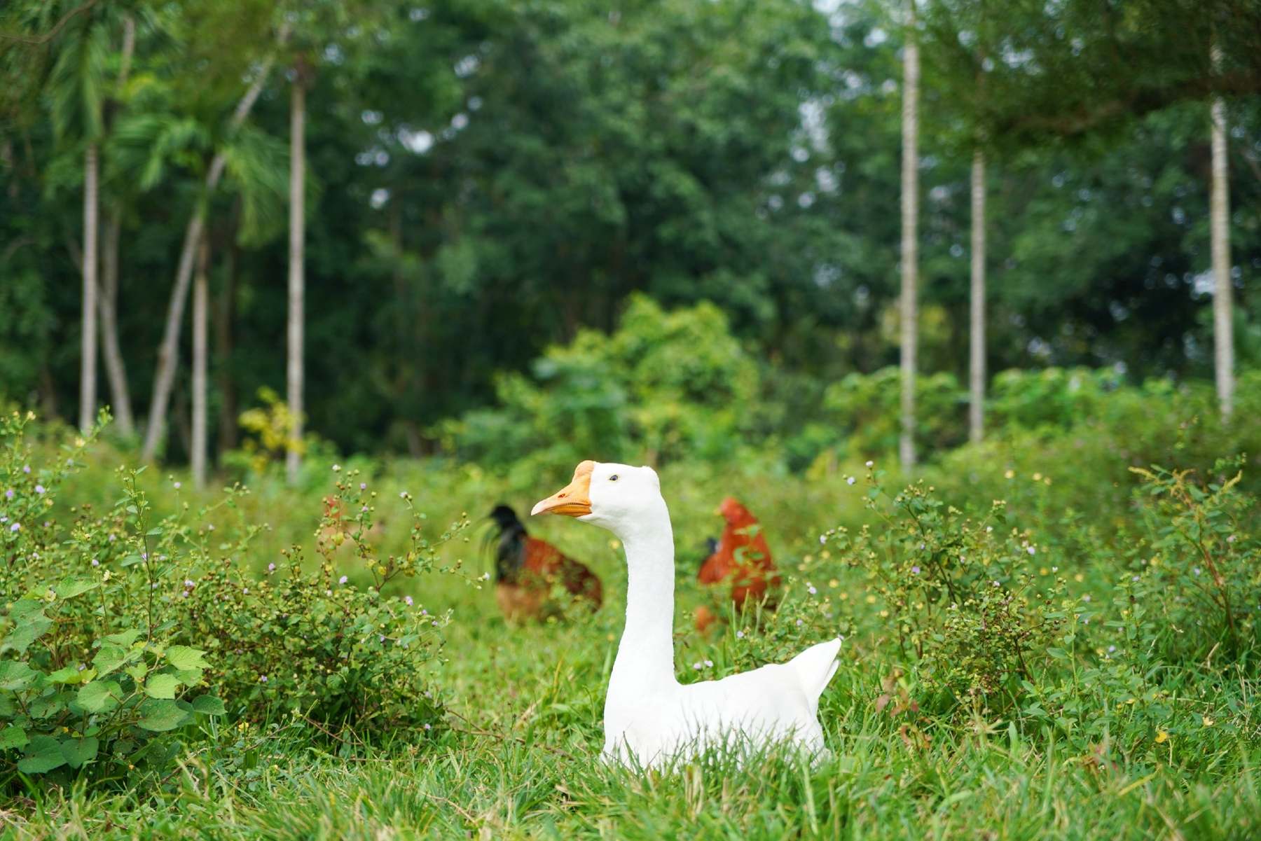 南宫NG·28(中国)相信品牌力量有限公司