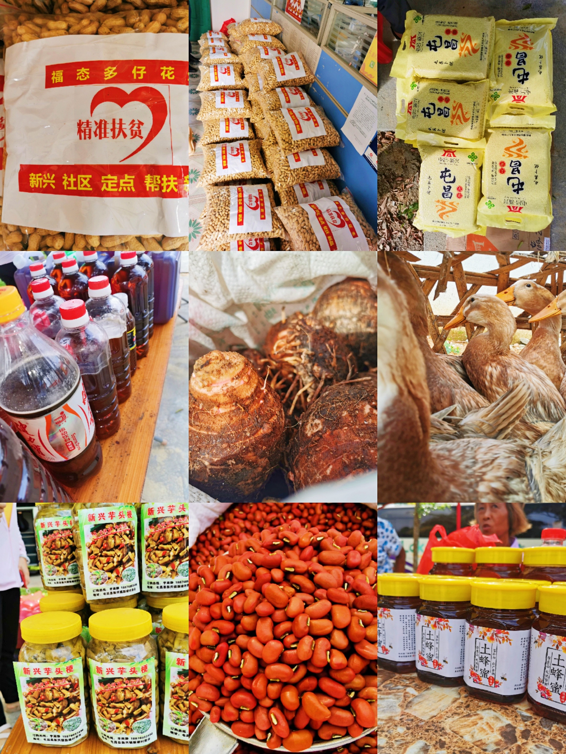 南宫NG·28(中国)相信品牌力量有限公司