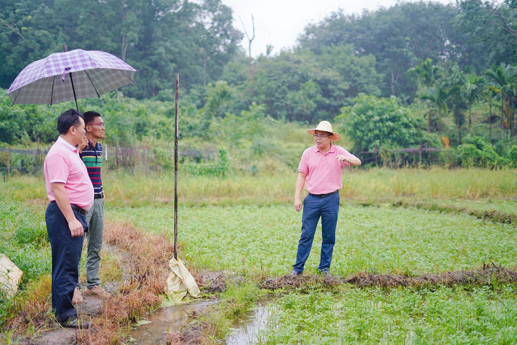 南宫NG·28(中国)相信品牌力量有限公司
