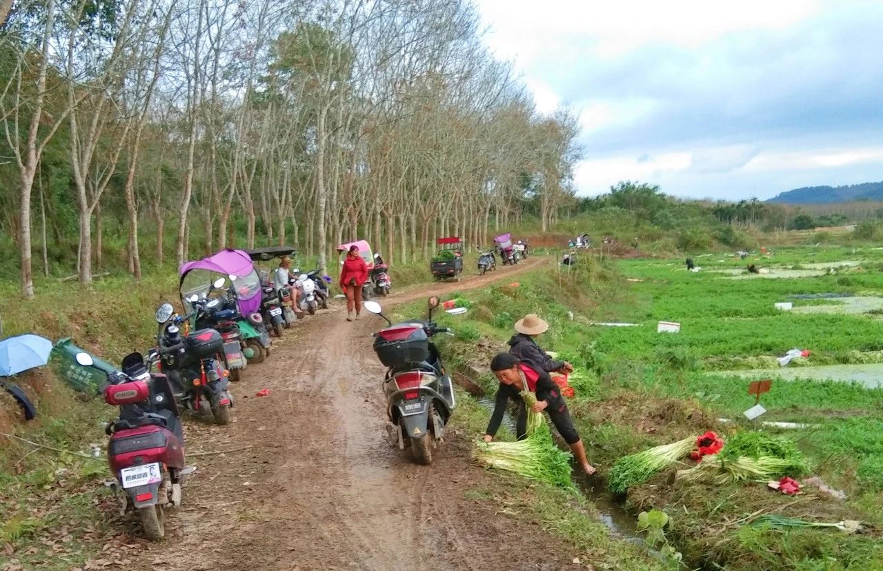 南宫NG·28(中国)相信品牌力量有限公司