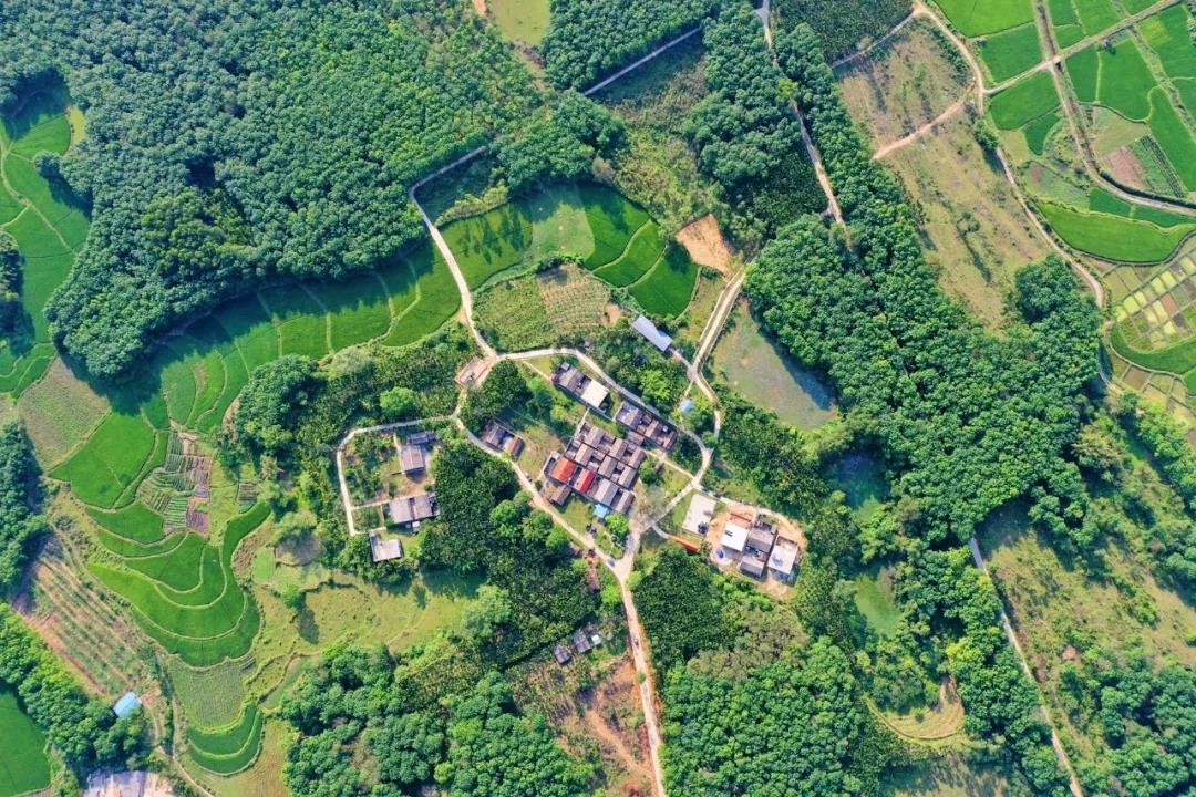 南宫NG·28(中国)相信品牌力量有限公司