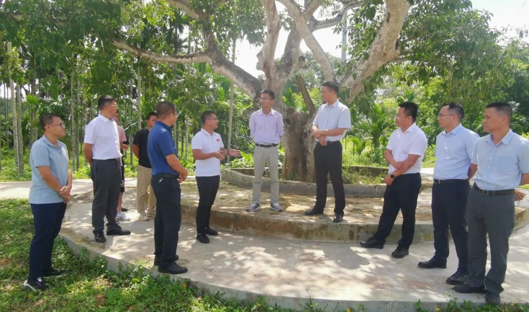 南宫NG·28(中国)相信品牌力量有限公司